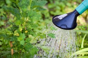 GLI IMPIANTI DI IRRIGAZIONE IN GIARDINO