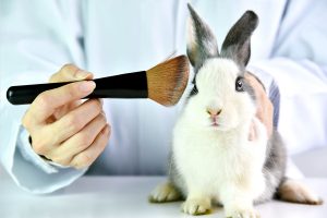 Cosmetici Cruelty Free: come orientarsi nella scelta