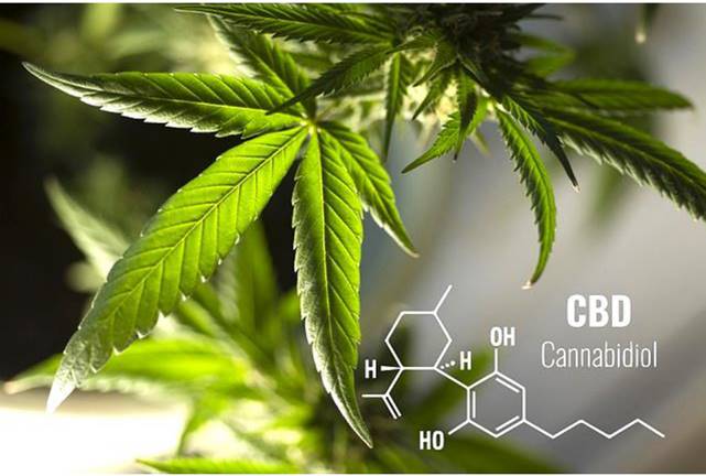 I benefici del CBD nella cura del corpo e della psiche