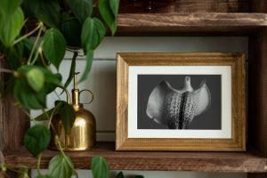 Passepartout come valorizzare le tue opere